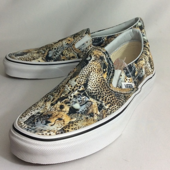 vans kenia vans kenia